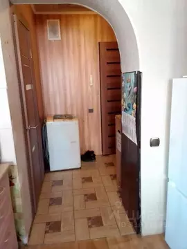 Студия Новосибирская область, Бердск ул. Гранитная, 13 (20.0 м)