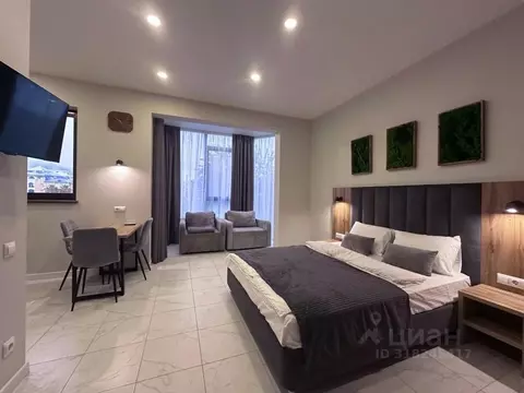 1-к кв. Краснодарский край, Сочи Лазаревское жилрайон, ул. Речная, 2Ж ...