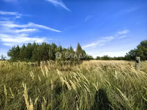 Участок в Ивановская область, Ивановский район, Богданихское с/пос, д. ...