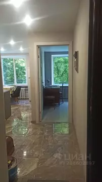 1-к кв. Санкт-Петербург ул. Верности, 10К4 (35.0 м)