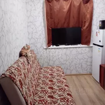 Студия Пермский край, Пермь Пушкарская ул., 79 (13.0 м)