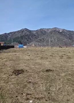 Участок в Алтай, Чемальский район, Элекмонарское с/пос, с. Элекмонар  ...