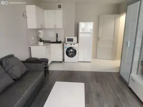 Квартира-студия: Анапа, улица Ленина, 239 (23.9 м)