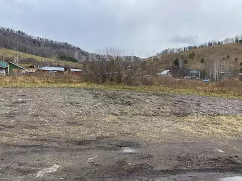 Участок в Алтай, Майминский район, Поселок филиал ул. Солнечная (10.0 ...