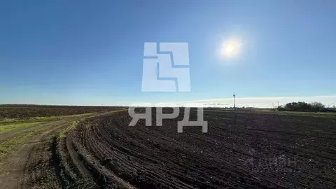 Участок в Ростовская область, Неклиновский район, Платовское с/пос, с. ...