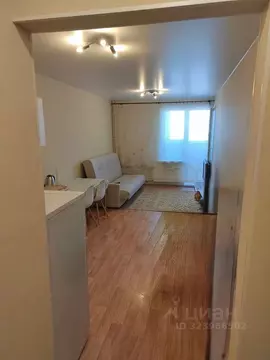 Студия Ленинградская область, Мурино Всеволожский район, бул. ...