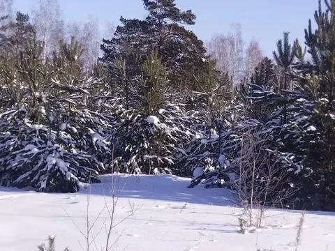 Участок в Иркутская область, Иркутский муниципальный округ, д. Куда ...