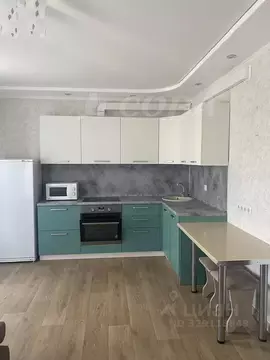 Студия Тюменская область, Тюмень Мелиораторов мкр, ул. Голышева, 24А ...