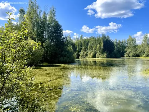 Участок в Московская область, Раменский муниципальный округ, КП Фенино ...