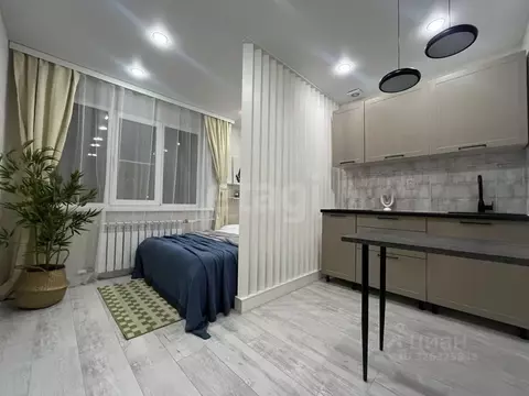 Студия Воронежская область, Воронеж ул. Переверткина, 45 (17.5 м)