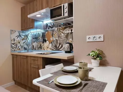 Студия Московская область, Ленинский городской округ, пос. Битца Южная ...