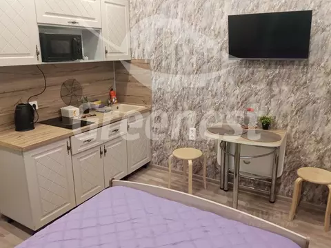 Студия Иркутская область, Иркутск Юбилейный мкр, 117/1 (19.2 м)