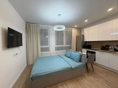 Студия Москва пер. Любучанский, 1к1 (20.0 м)