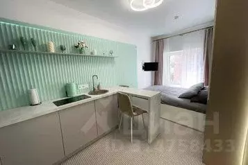 1-к кв. Санкт-Петербург Невский просп., 88 (19.0 м)