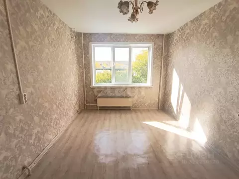 Студия Кемеровская область, Юрга ул. Машиностроителей, 49 (16.6 м)