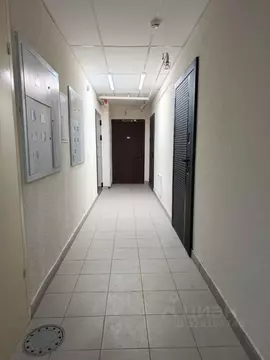 Студия Московская область, Одинцово Вокзальная ул., 31А (31.5 м)