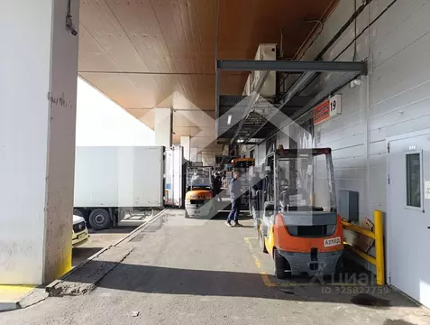 Производственное помещение в Москва д. Мамыри, 1Д (301 м)