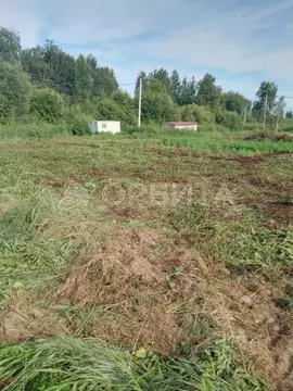 Участок в Тюменская область, Нижнетавдинский район, Сотовик садовое ...