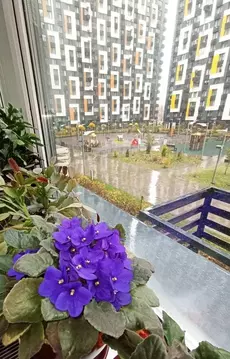 Студия Москва Дмитровское ш., 107к3 (24.6 м)