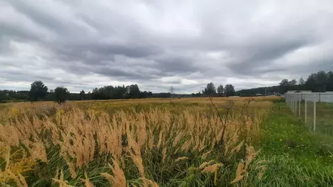 Участок в Тульская область, Тула городской округ, д. Страхово  (29.0 ...