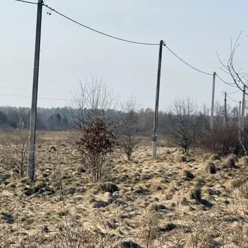 Участок в Калининградская область, Гурьевский муниципальный округ, ...