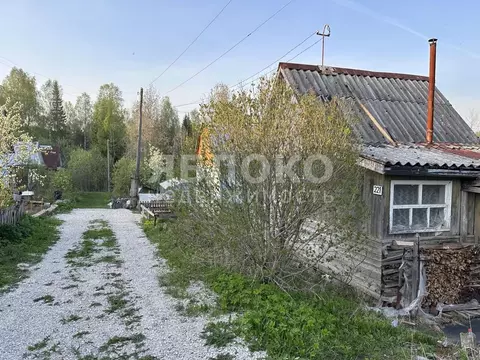 Дом в Пермский край, Березники № 41 СНТ,  (13 м)