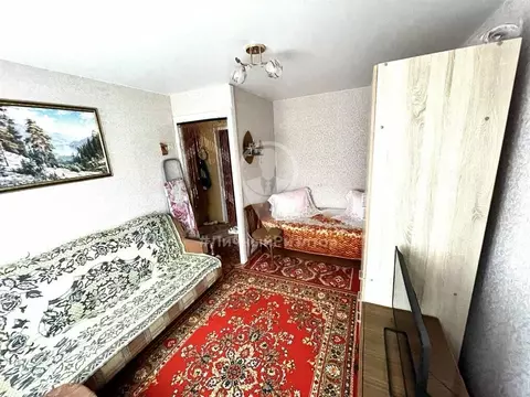 1-комнатная квартира: Мурмино, Лесная улица, 7 (21.7 м)