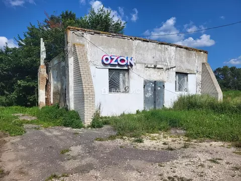 Помещение свободного назначения в Владимирская область, Суздальский ...