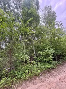 Участок в Амурская область, Благовещенский район, с. Чигири ...