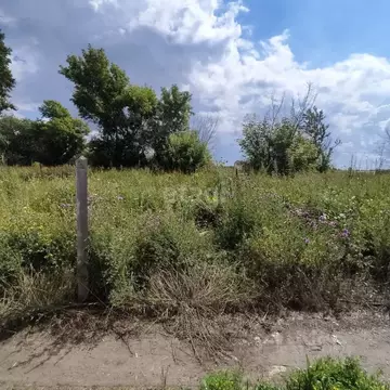 Участок в Кемеровская область, Юрга Солнечная ул. (13.0 сот.)