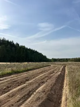Участок в Московская область, Раменский муниципальный округ, Опушкино ...
