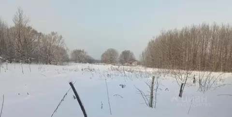 Участок в Московская область, Дмитровский муниципальный округ, д. ...