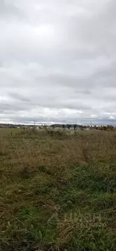 Участок в Ленинградская область, Ломоносовский район, Аннинское ...