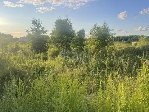 Участок в Новосибирская область, Бердск пл. Максима Горького (10.0 ...