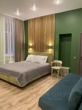 1-к кв. Санкт-Петербург Литейный просп., 27 (29.0 м)