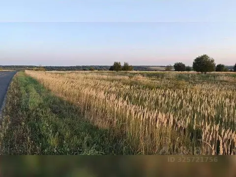 Участок в Московская область, Серебряные Пруды пгт ул. Советская ...