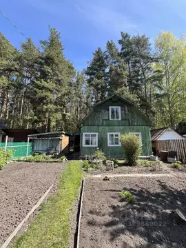 Участок в Свердловская область, Екатеринбург Дачник СТ, 40 (4.3 сот.)