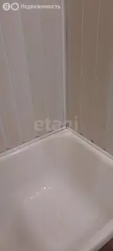 1-комнатная квартира: Боровский, Октябрьская улица, 1 (16.5 м)