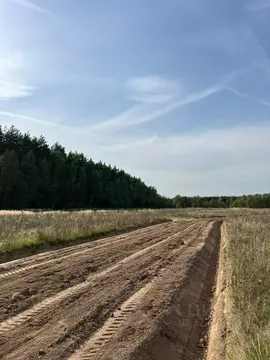 Участок в Московская область, Раменский муниципальный округ, Опушкино ...
