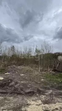 Участок в Брянская область, Брянский район, Добрунское с/пос, д. ...