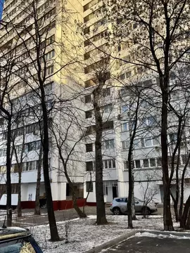 2-к кв. Москва Большая Переяславская ул., 13 (54.0 м)