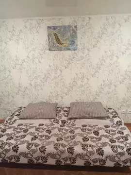 1-к кв. Самарская область, Самара ул. Льва Толстого, 95 (30.0 м)