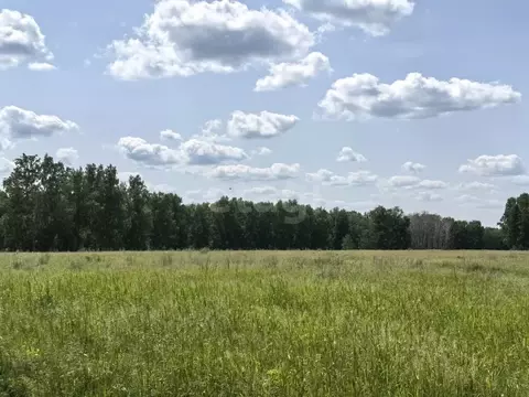 Участок в Новосибирская область, Новосибирский район, Морской ...