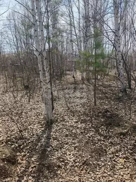 Участок в Амурская область, Благовещенск Игнатьевское ш., 7 (9.78 ...