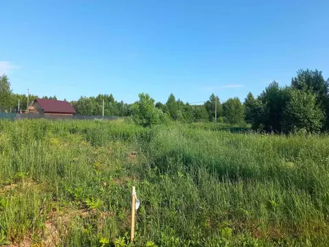 Участок в Московская область, Дмитровский муниципальный округ, д. ...