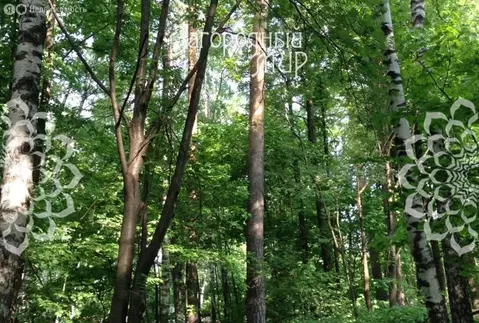 Участок в Балашиха, микрорайон Никольско-Архангельский, Разинское ...