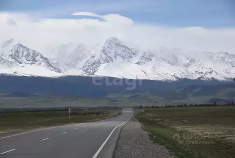 Участок в Алтай, с. Кош-Агач  (14.31 сот.)