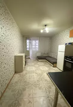 1-к кв. Санкт-Петербург Туристская ул., 24/42 (46.5 м)