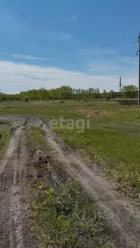 Участок в Курганская область, Шадринский муниципальный округ, с. Ключи ...