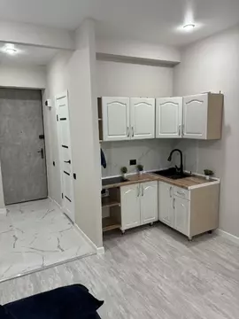 Студия Самарская область, Самара Севастопольская ул., 28 (21.0 м)